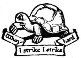 Fabian Turtle Logo
