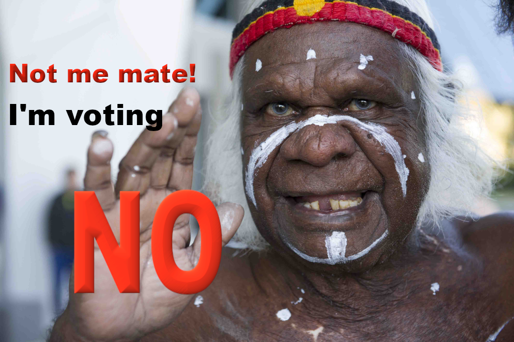 vote-no-mate